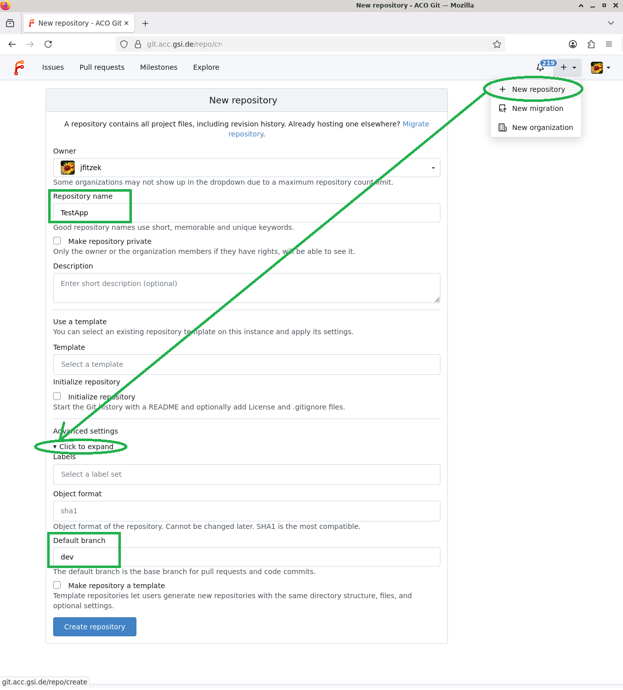 01-new-repo-settings.png
